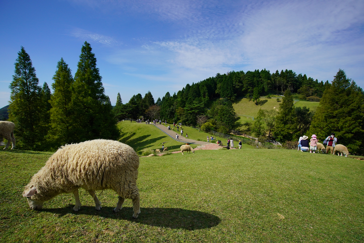 休場中 当面の間 神戸市立六甲山牧場 Feel Kobe 神戸公式観光サイト