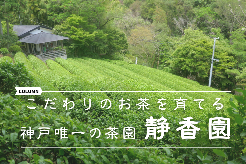 こだわりのお茶を育てる神戸唯一の茶園 「静香園」