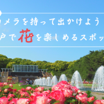 カメラを持って出かけよう！神戸で「花」を楽しめるスポット