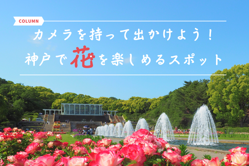 カメラを持って出かけよう！神戸で「花」を楽しめるスポット