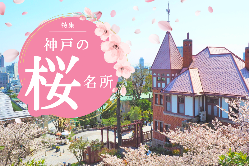 港町を彩る美しい桜！神戸の桜名所特集