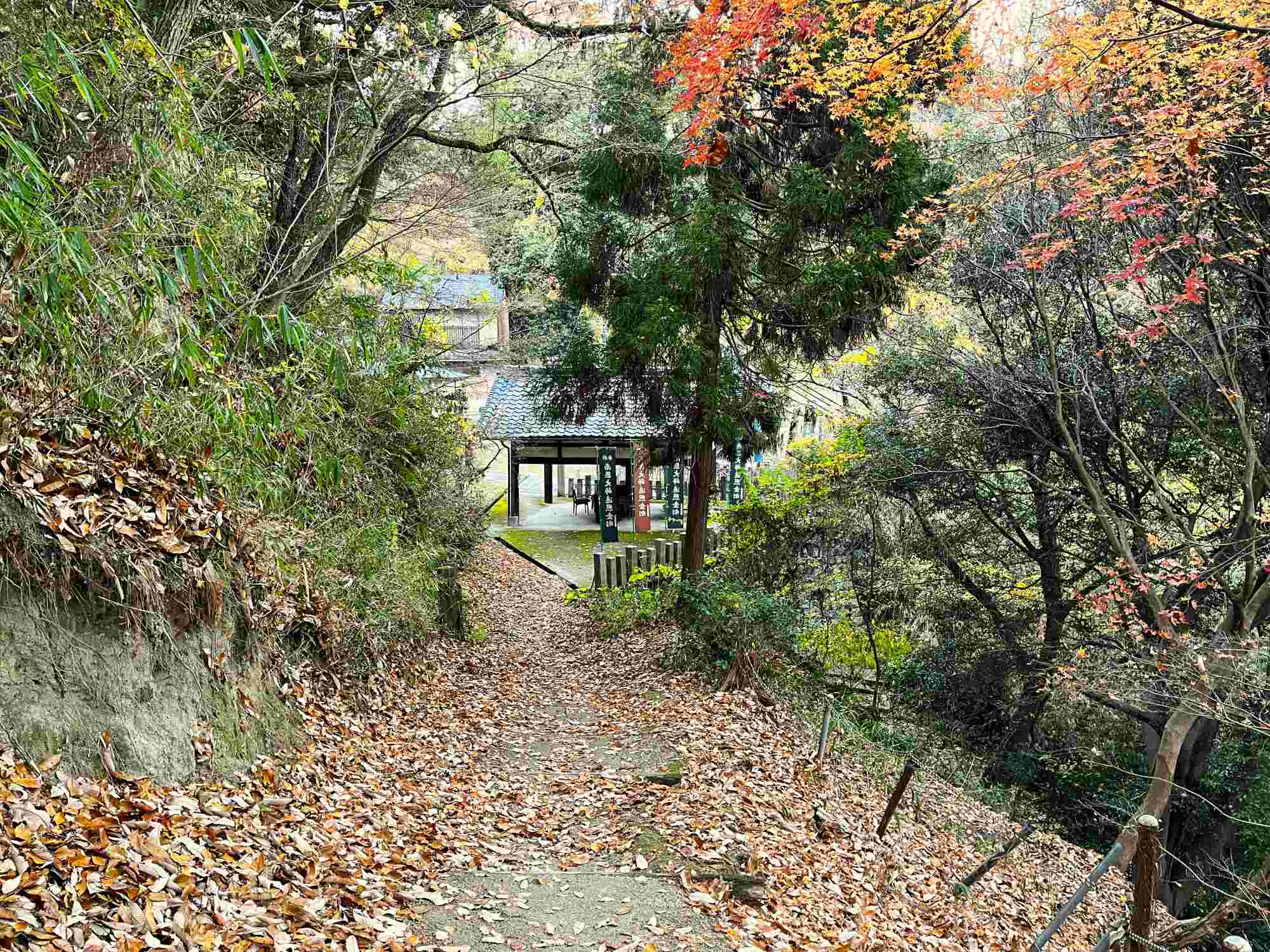 10_山道から見える福寿院