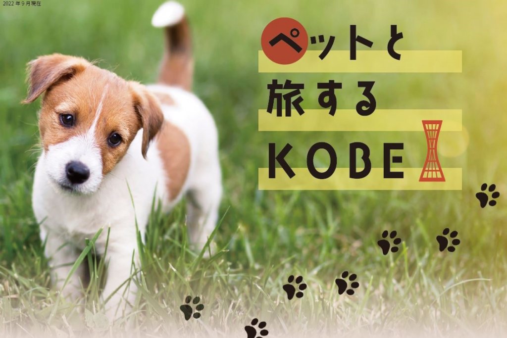 神戸のペットと楽しめるスポットを紹介！「ペットと旅するKOBE」